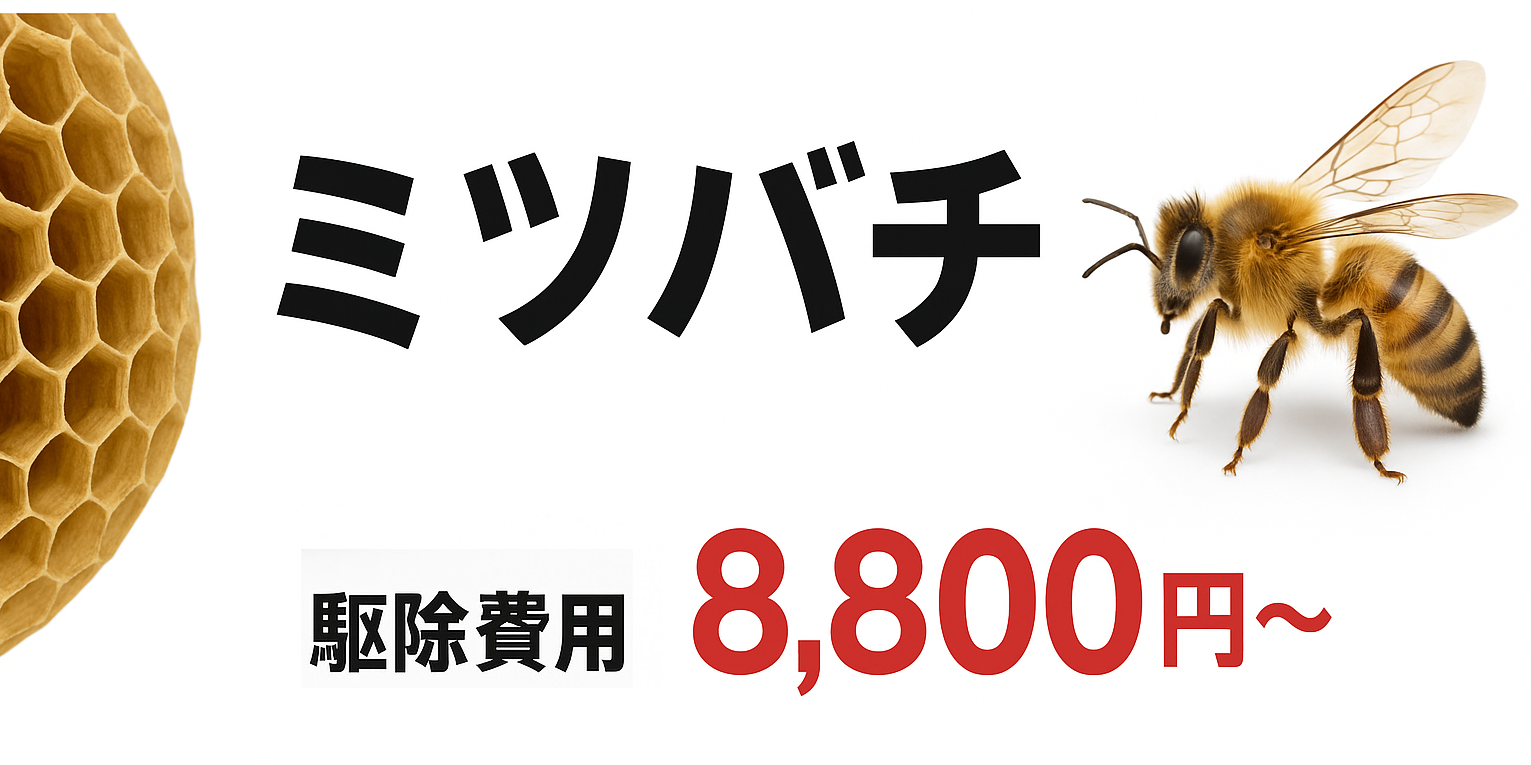ミツバチの駆除は8,800円〜 痕跡洗浄と中和コーティングの重要性