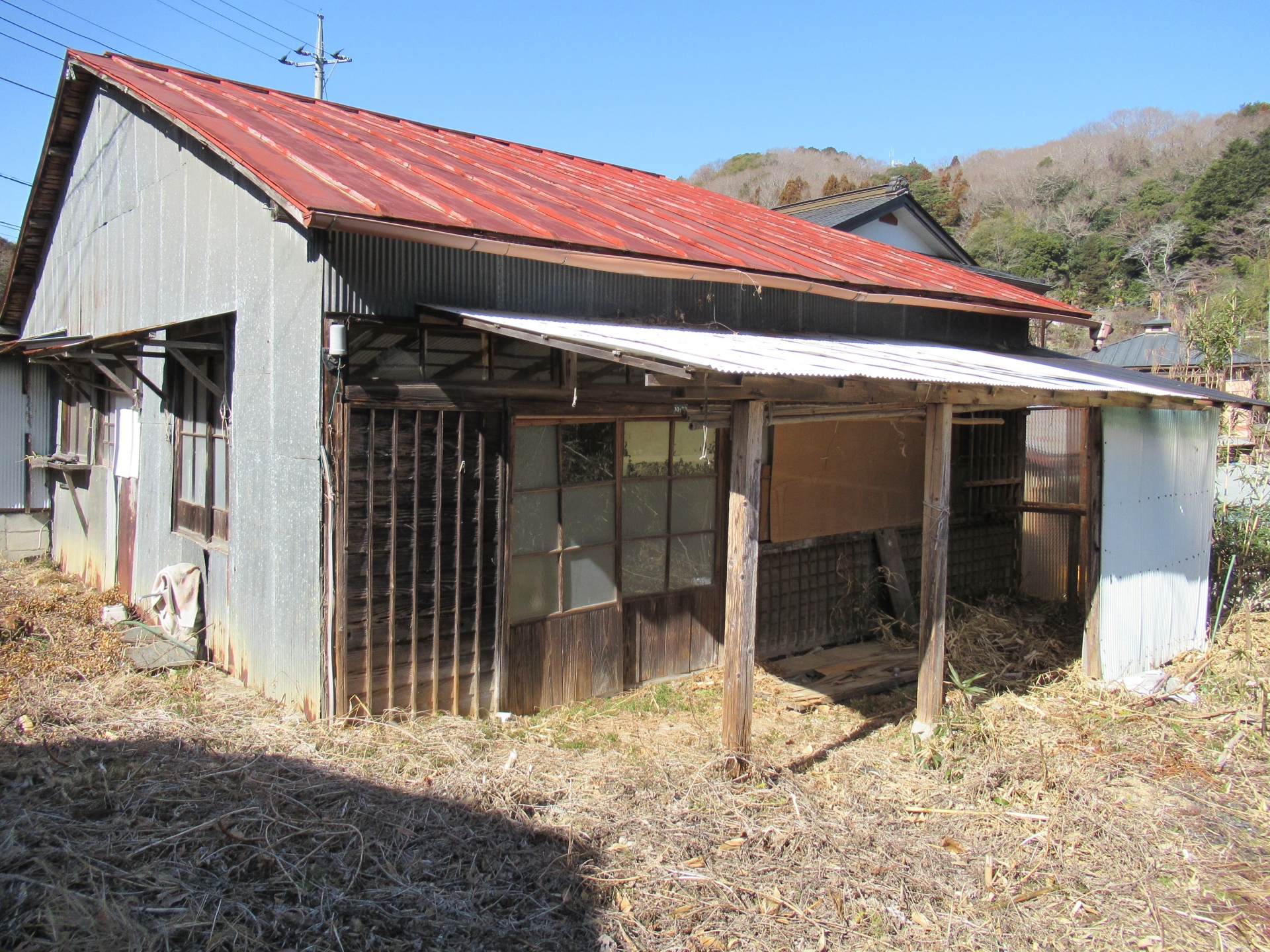 軒下や庭先に潜む蜂の再発リスク